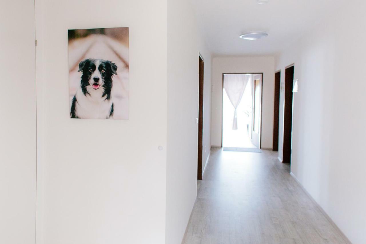 Steira-Studios Ehrenhausen Eksteriør billede